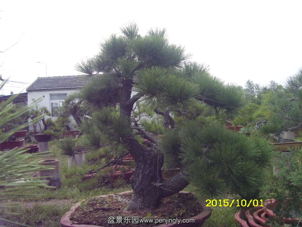 ST831864.JPG