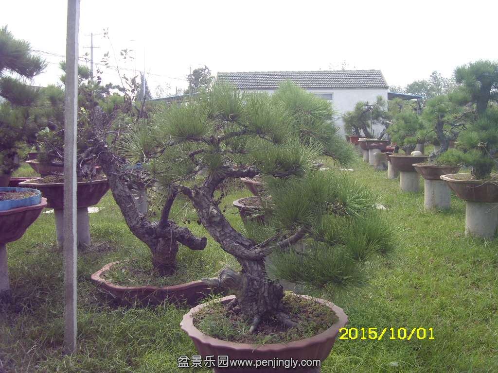 ST831872.JPG