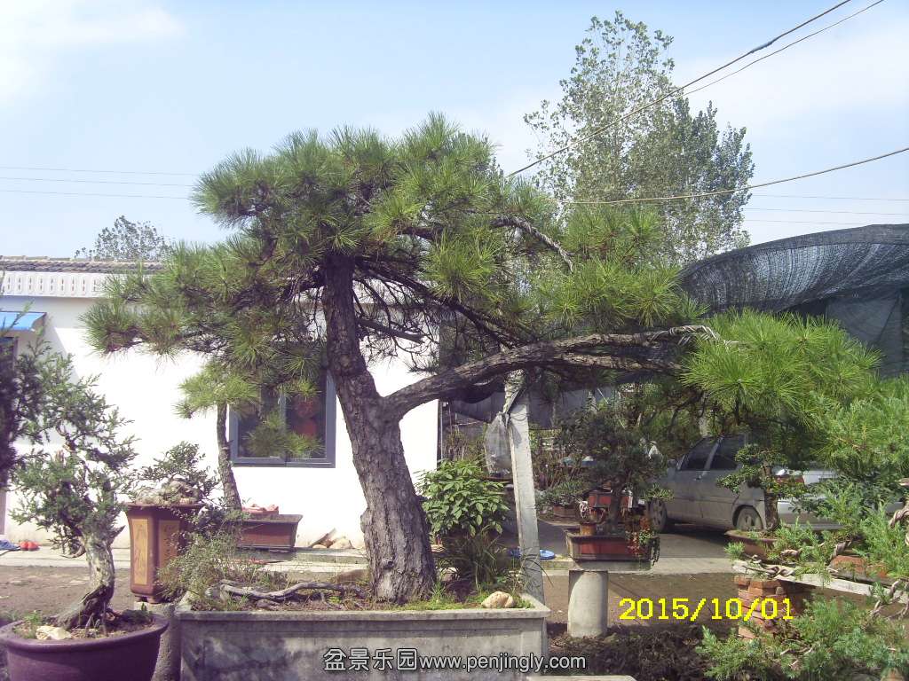 ST831876.JPG