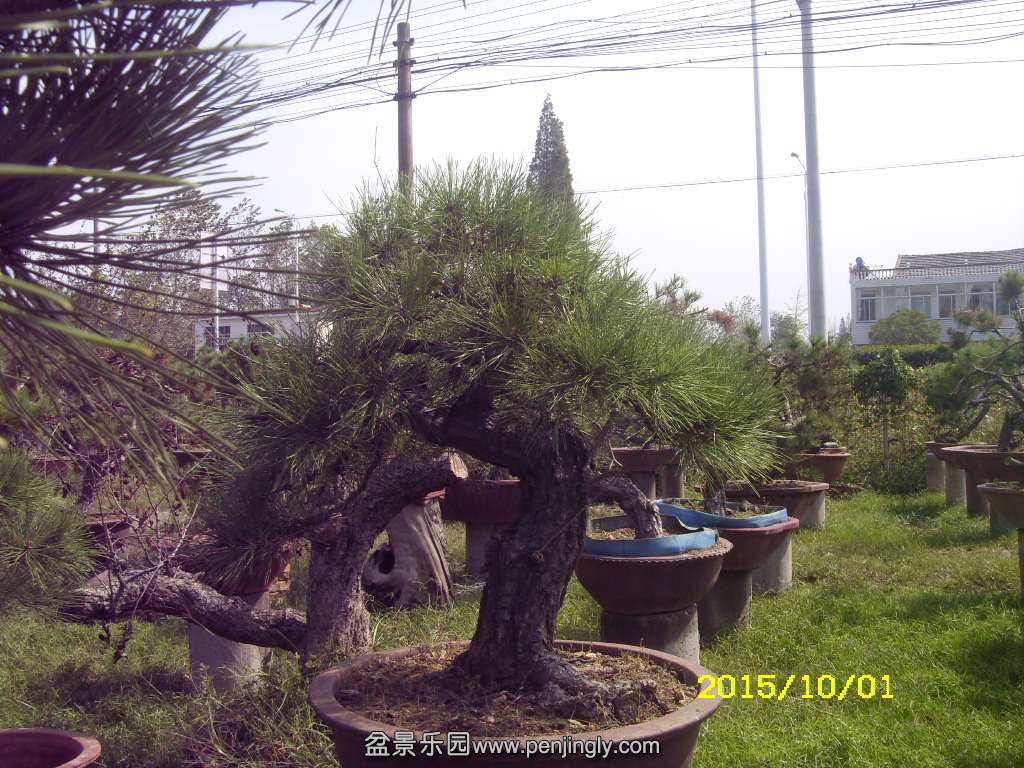ST831878.JPG