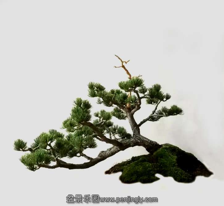 ����С��05jpg ����.jpg