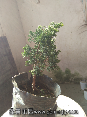 IMG_20151002_101304.jpg
