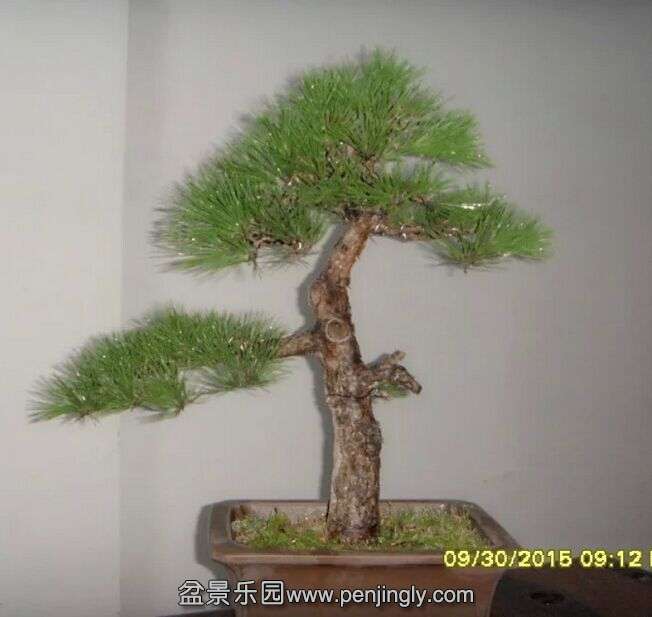 QQͼƬ20151003004700.jpg