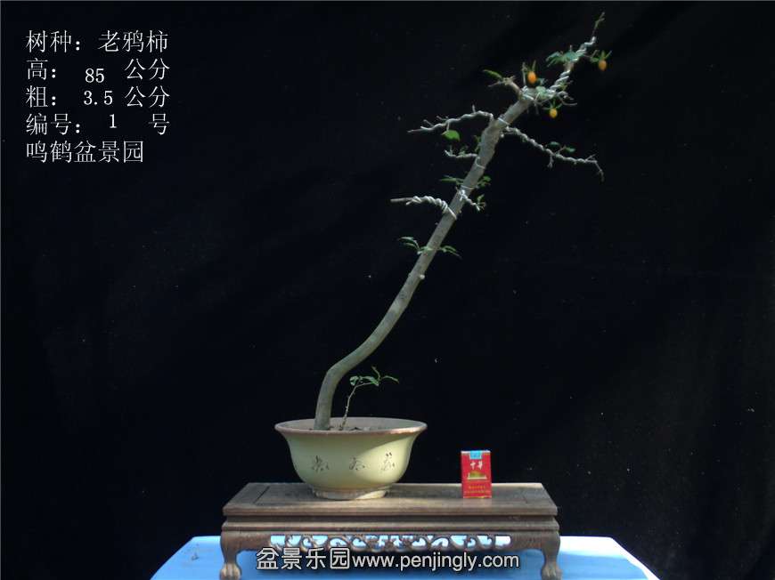 GEDC2679.JPG