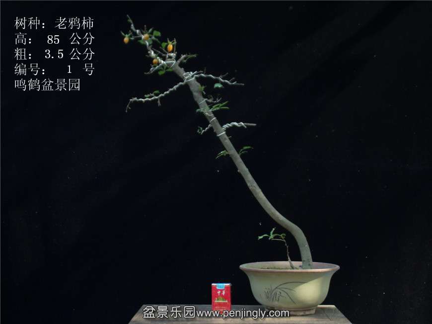 GEDC2684.JPG