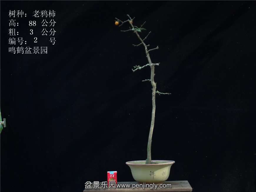 GEDC2689.JPG