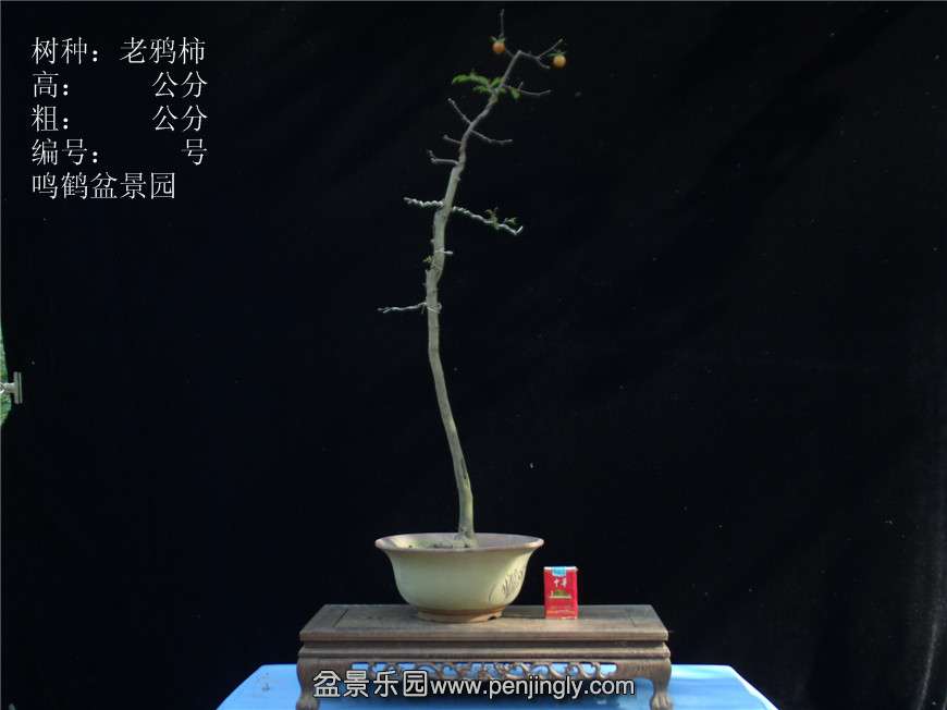 GEDC2692.JPG