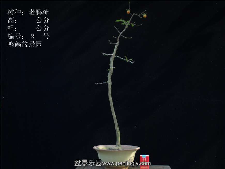 GEDC2693.JPG