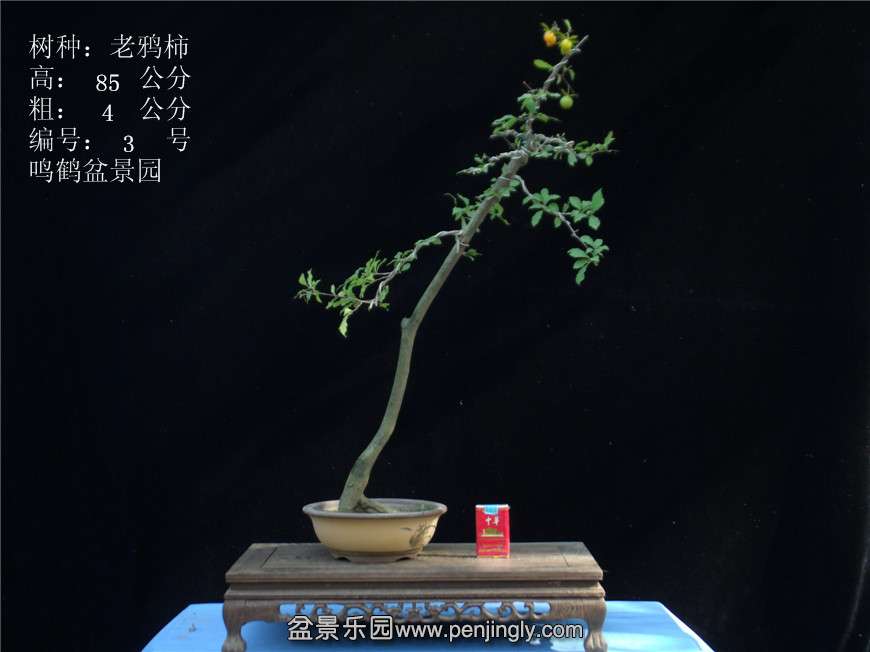 GEDC2694.JPG