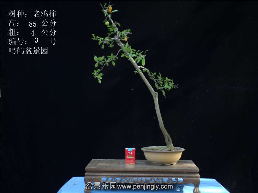 GEDC2699.JPG