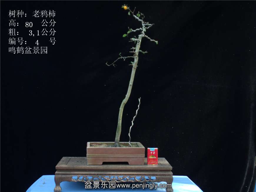 GEDC2702.JPG