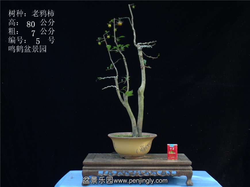 GEDC2709.JPG