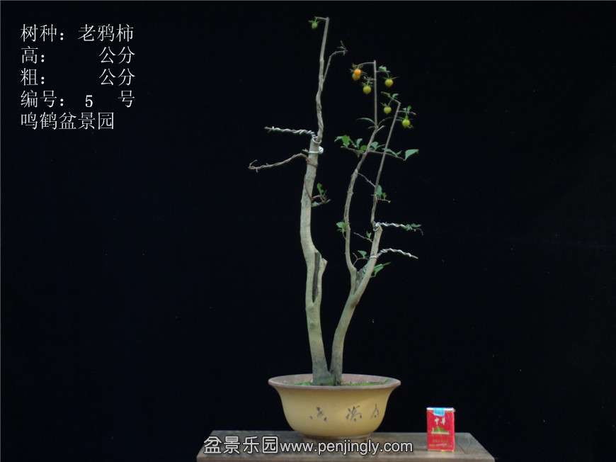 GEDC2711.JPG