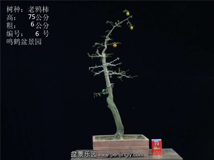GEDC2715.JPG