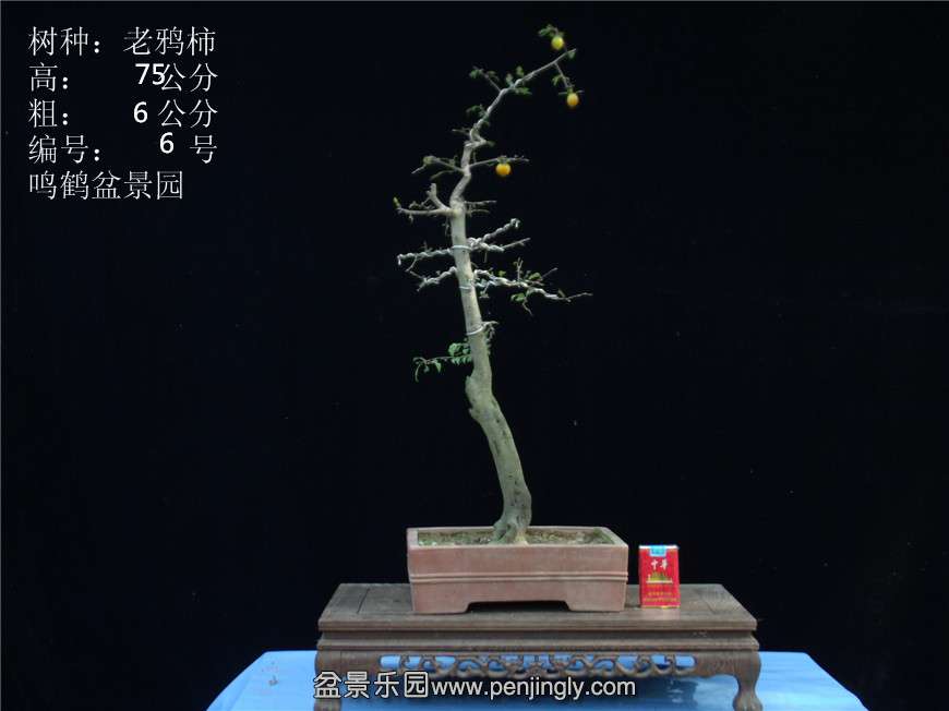 GEDC2716.JPG