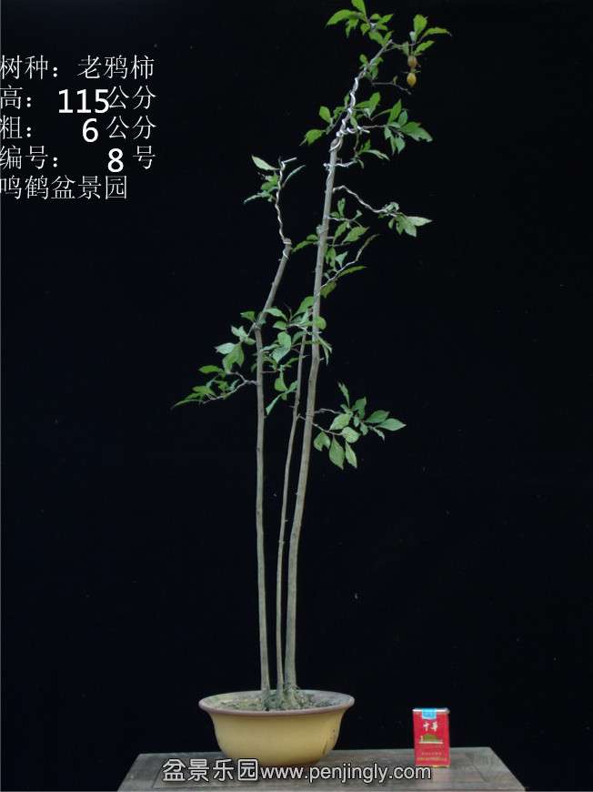 GEDC2722.JPG
