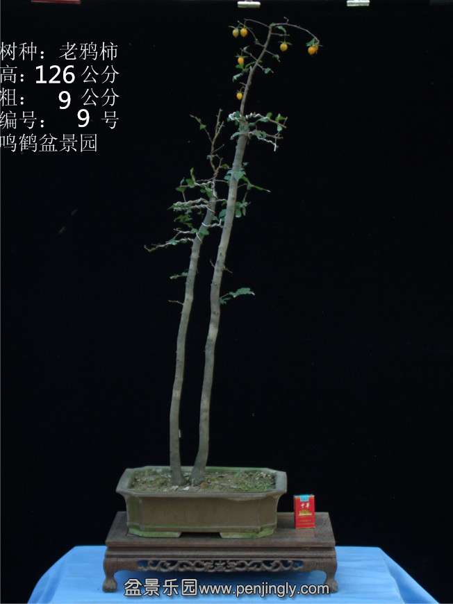 GEDC2728.JPG