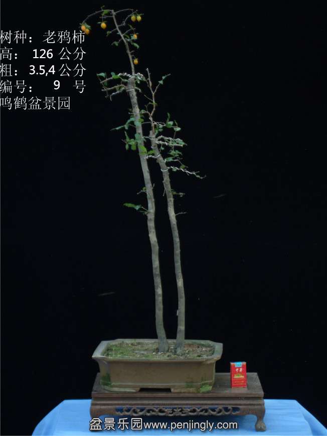 GEDC2732.JPG