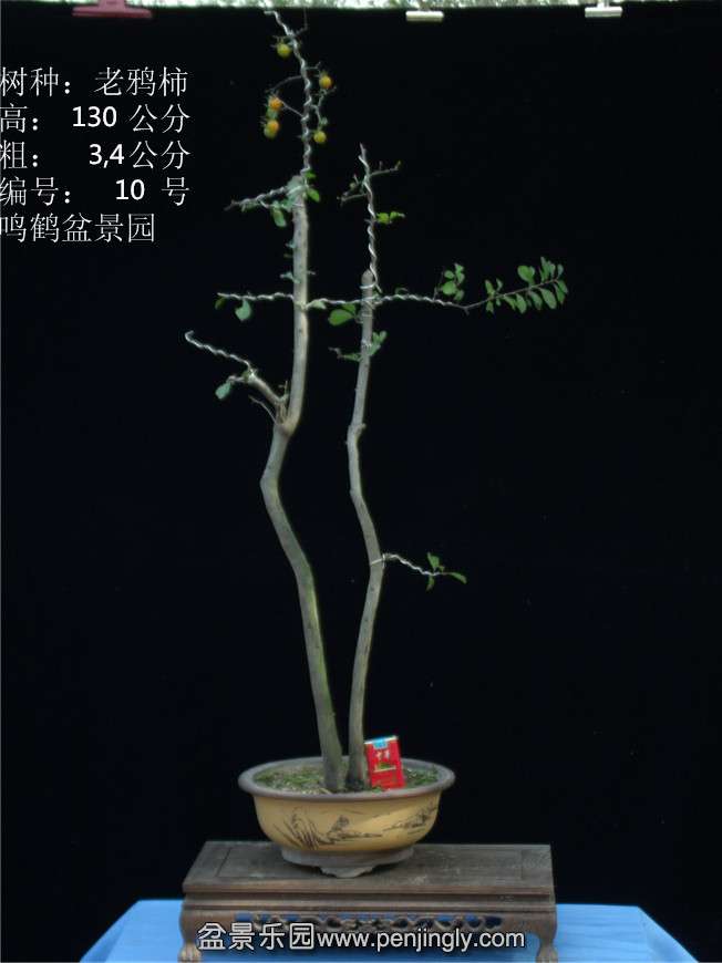 GEDC2733.JPG