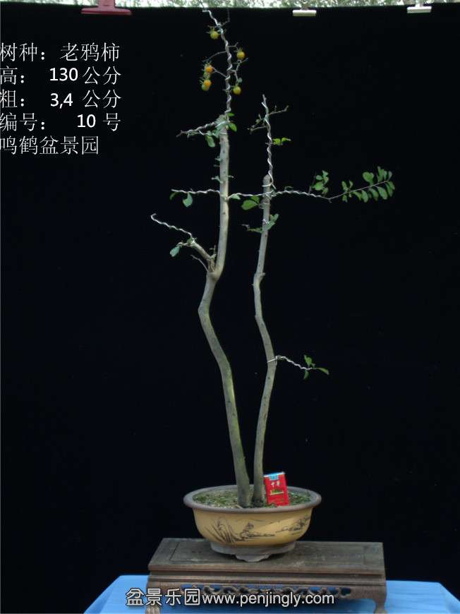 GEDC2734.JPG