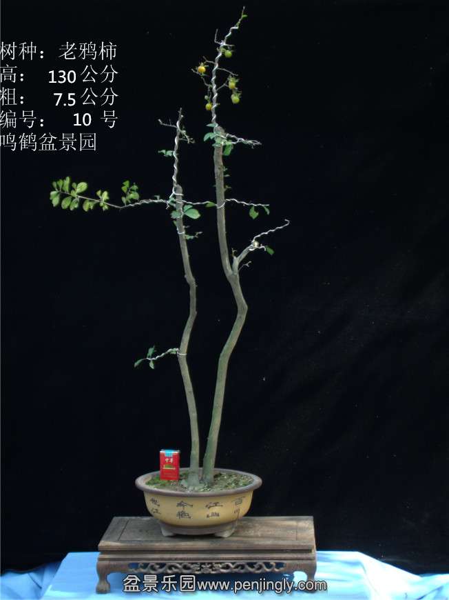 GEDC2738.JPG