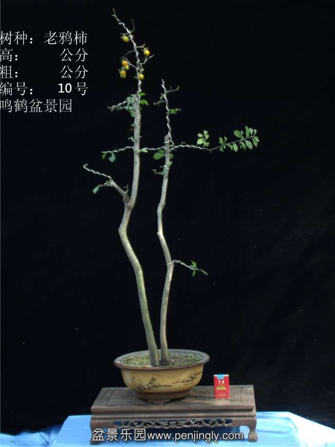 GEDC2740.JPG