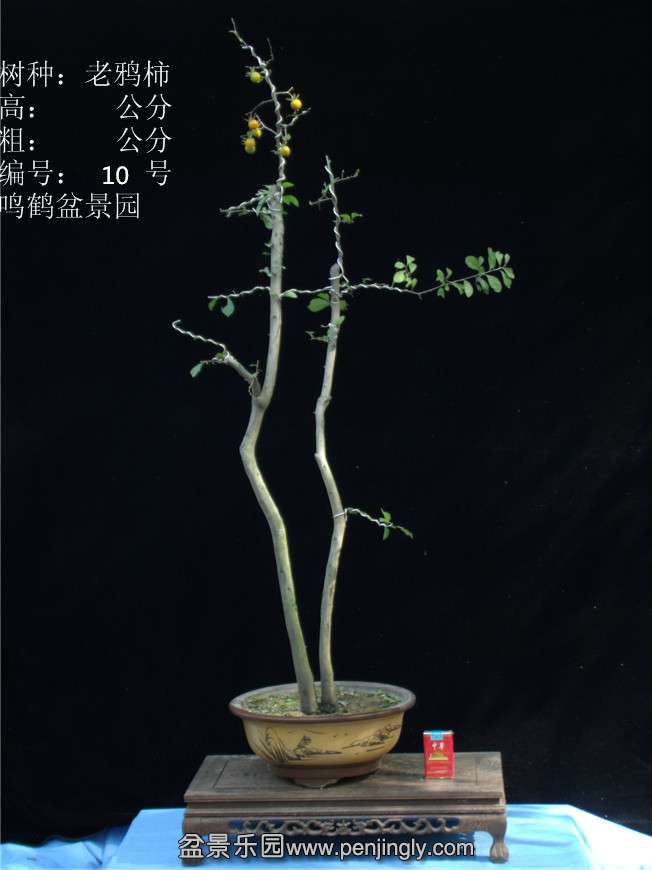 GEDC2741.JPG