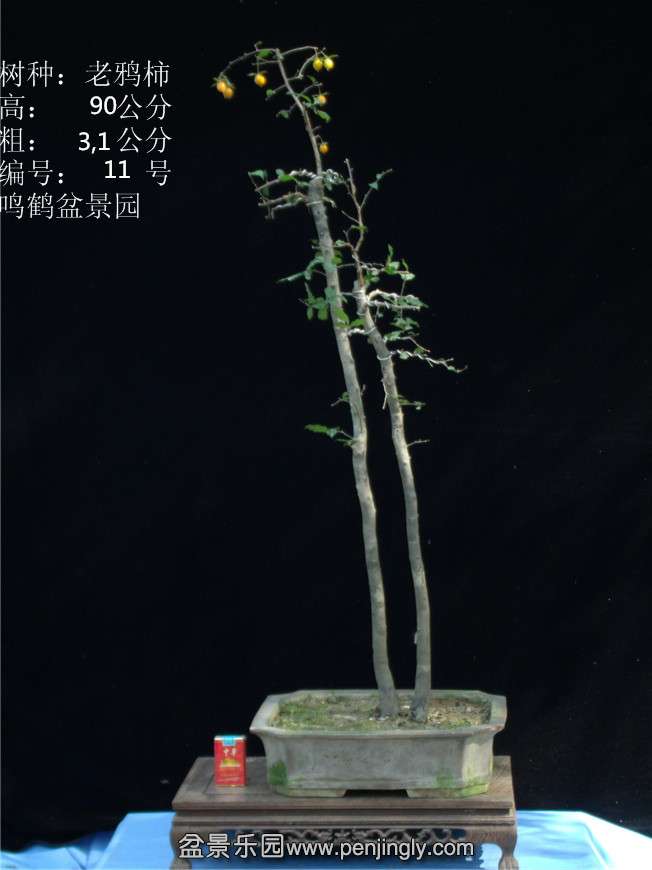 GEDC2742.JPG