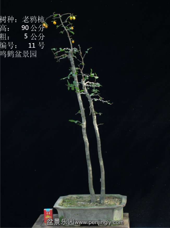 GEDC2743.JPG