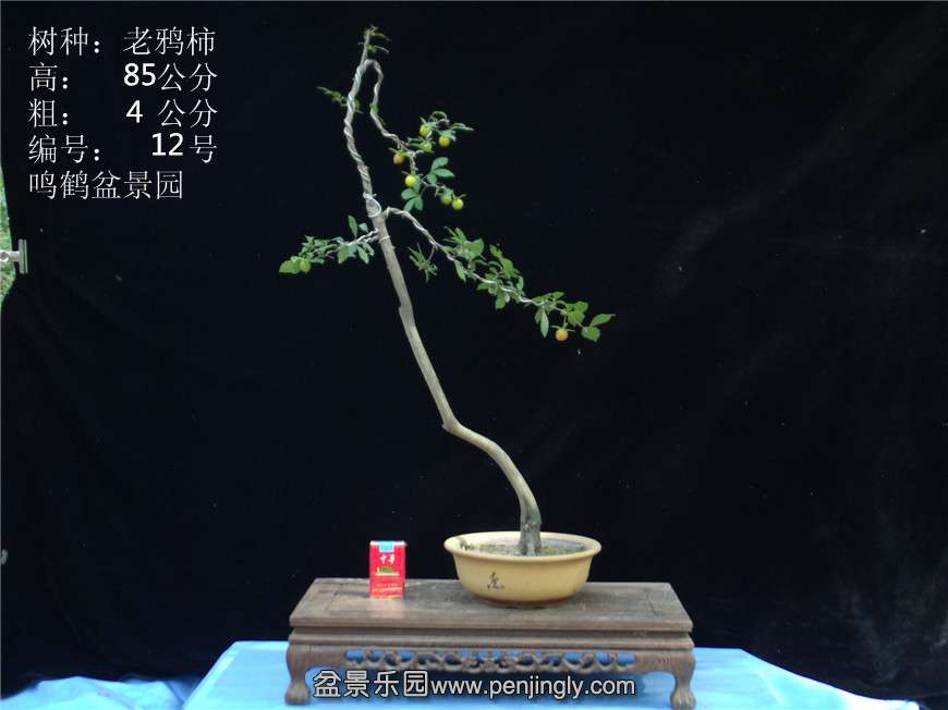 GEDC2753.JPG