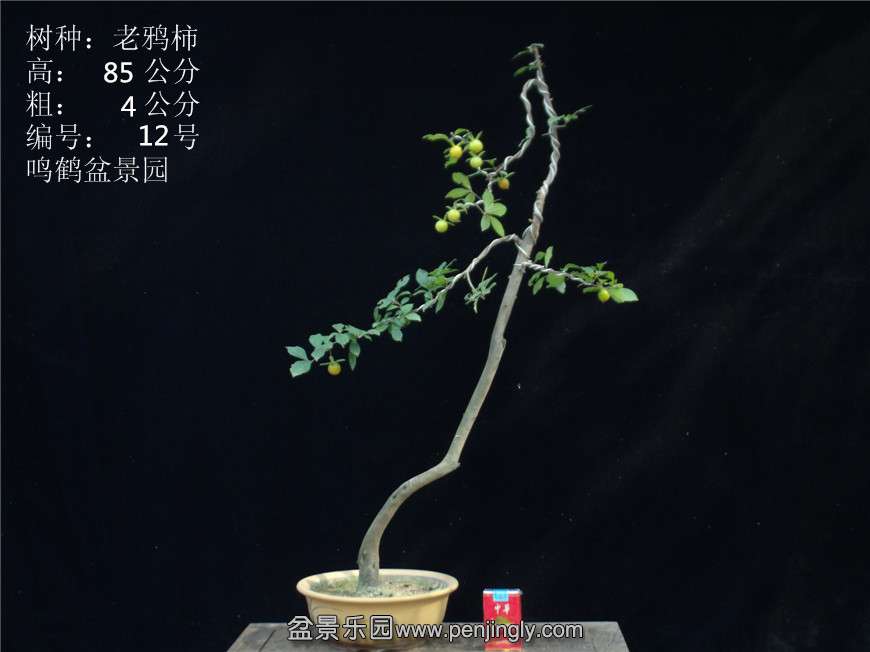 GEDC2756.JPG