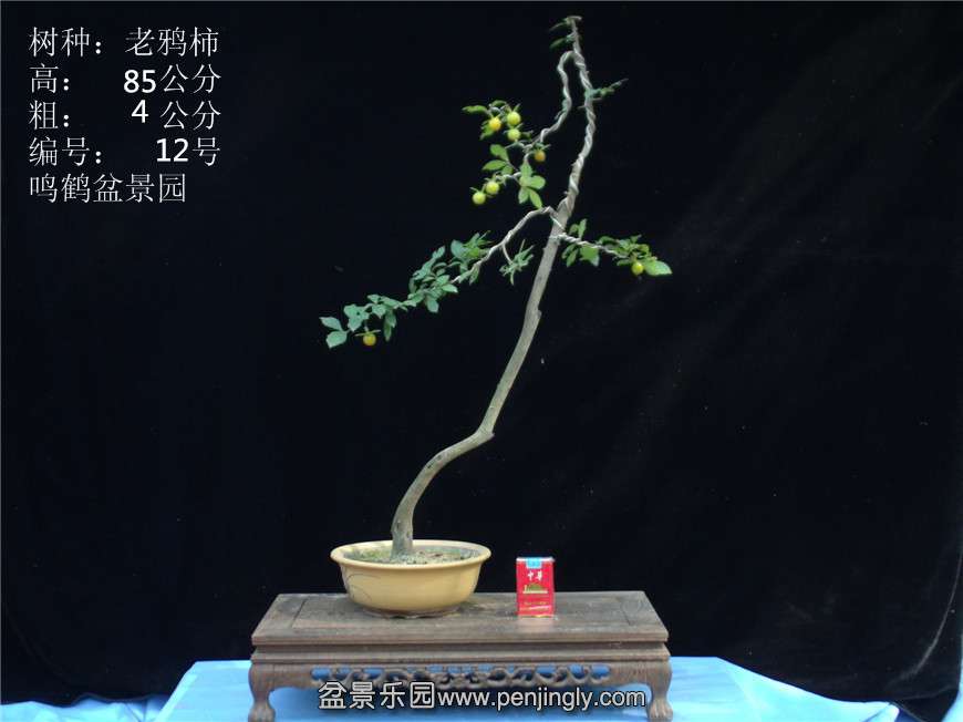 GEDC2757.JPG