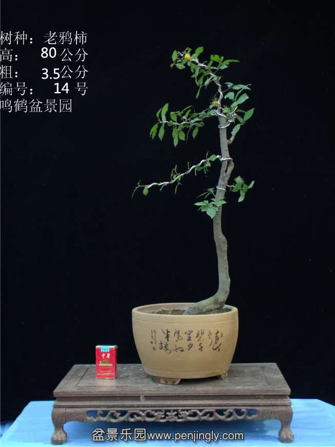 GEDC2767.JPG