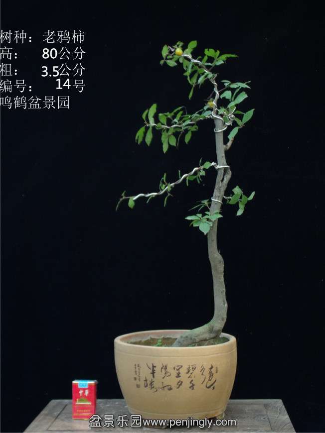GEDC2768.JPG