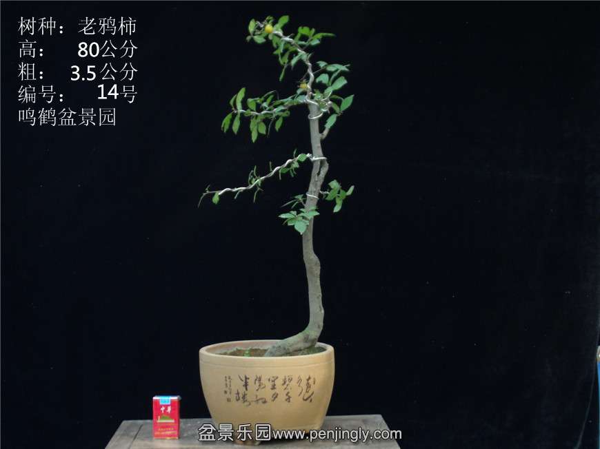 GEDC2769.JPG