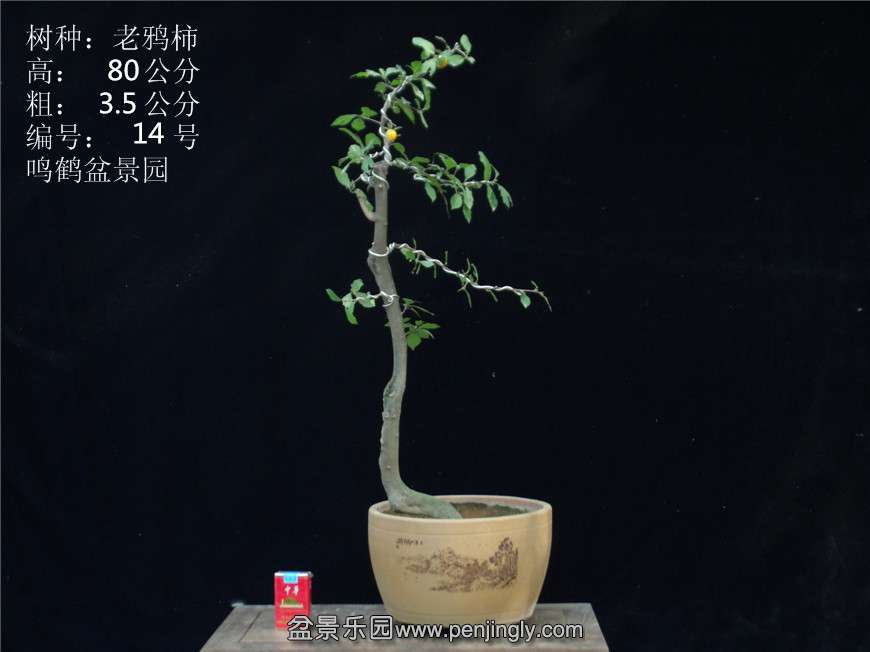 GEDC2771.JPG
