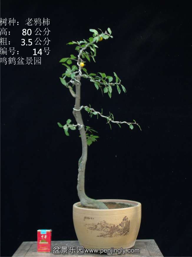 GEDC2774.JPG