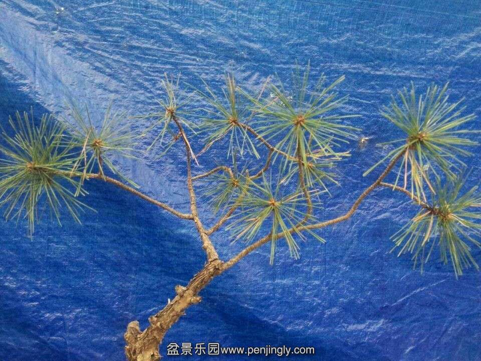 QQͼƬ20151005083812.jpg