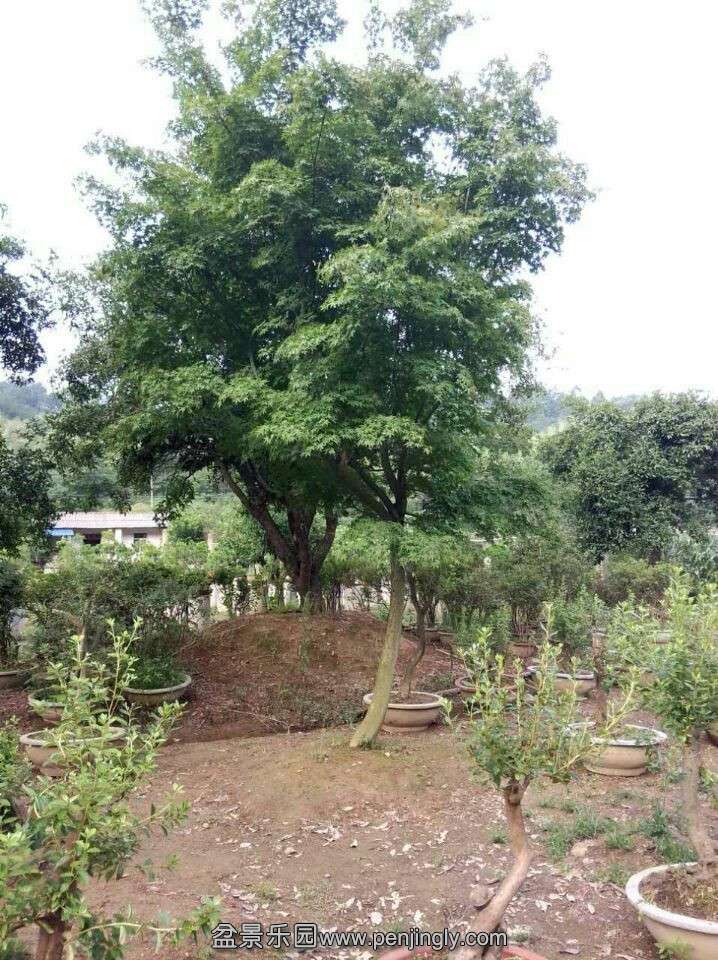 QQͼƬ20151005085147.jpg
