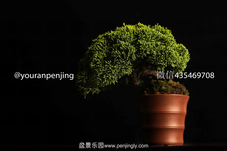 QQͼƬ20151005161041.png