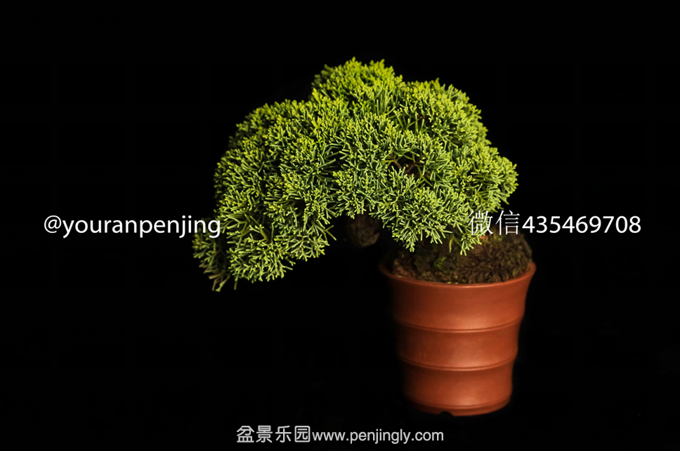 QQͼƬ20151005161053.png