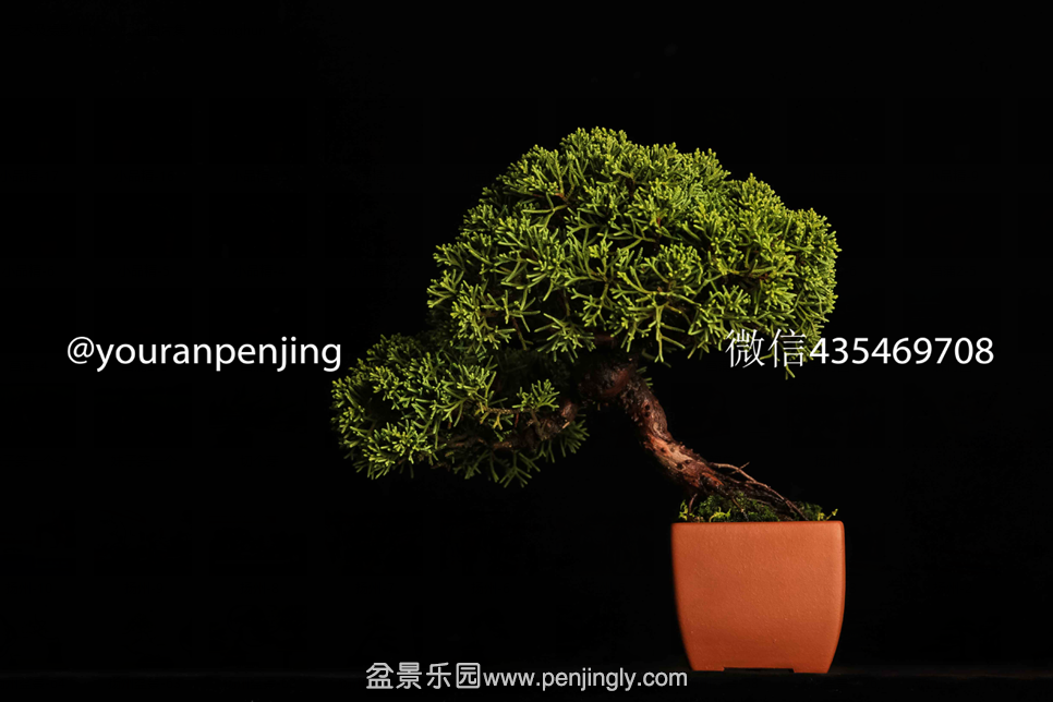 QQͼƬ20151005161145.png
