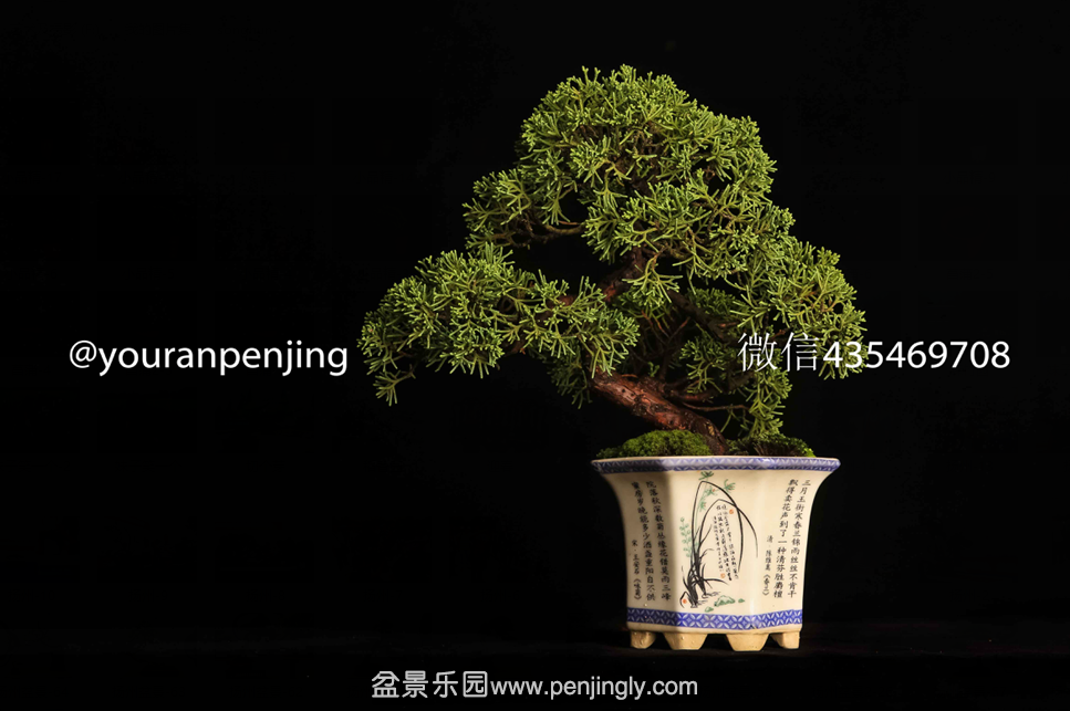 QQͼƬ20151005161310.png