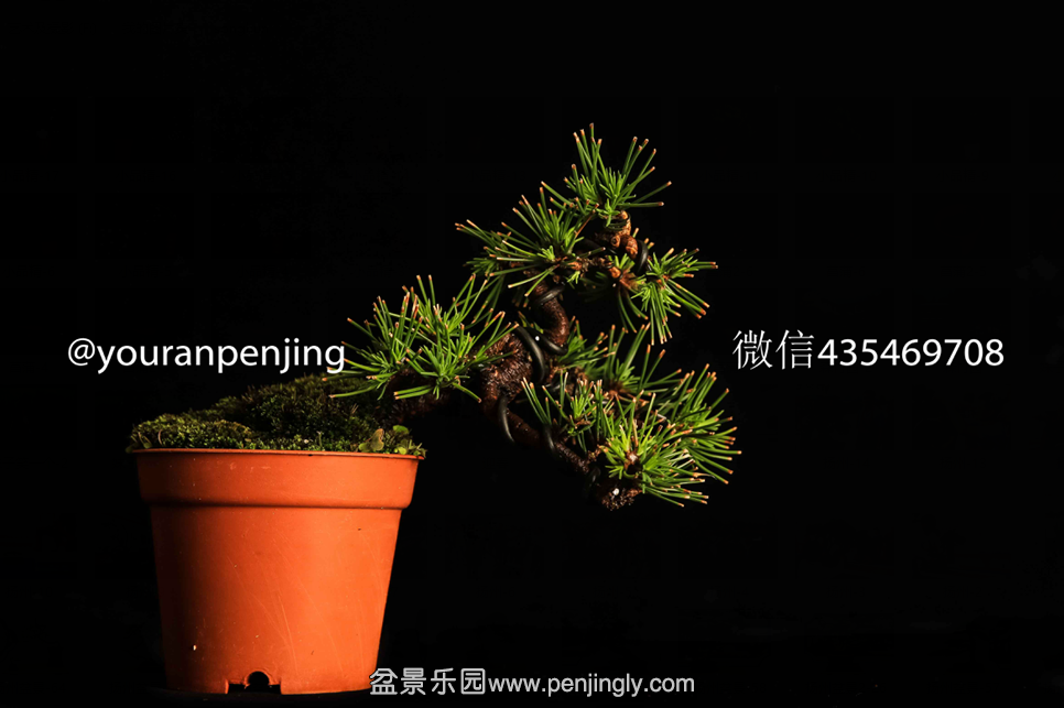 QQͼƬ20151005162842.png