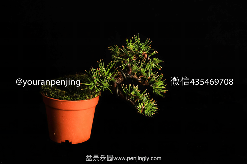 QQͼƬ20151005162930.png