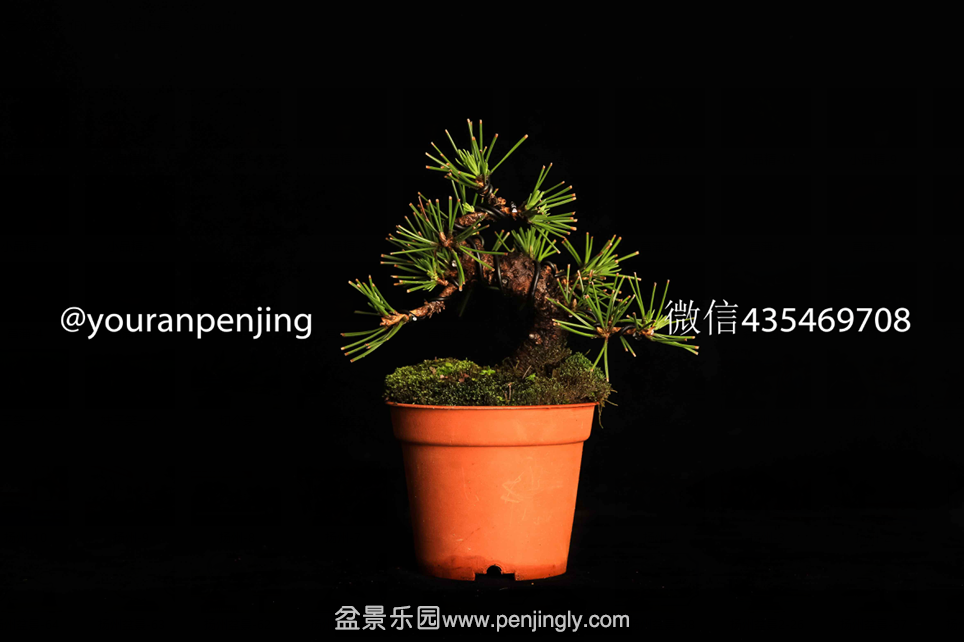 QQͼƬ20151005162913.png