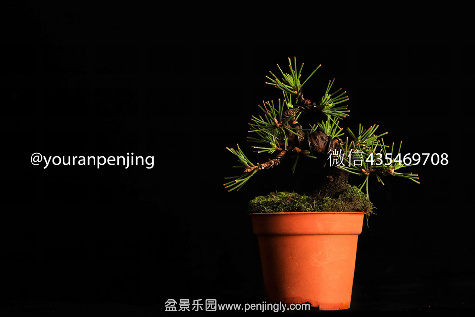QQͼƬ20151005162857.png