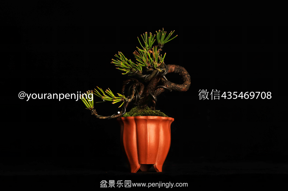 QQͼƬ20151005162947.png