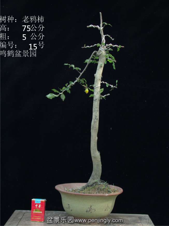 GEDC2776.JPG