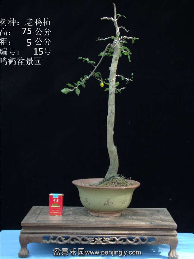 GEDC2777.JPG